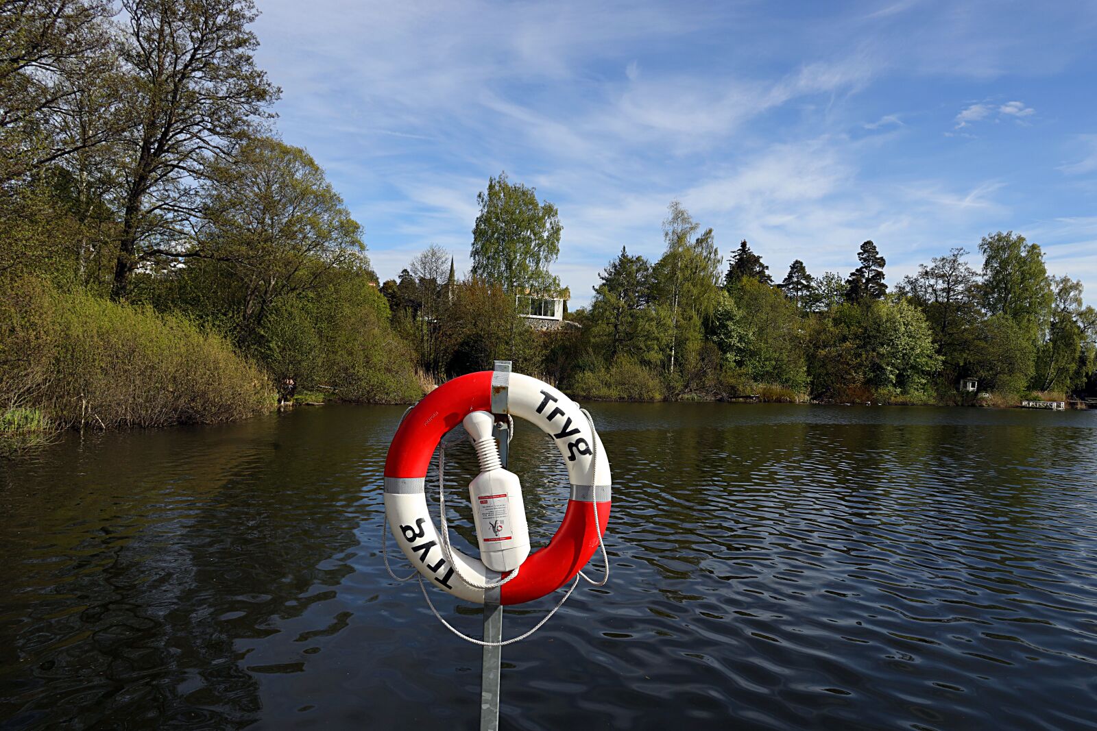 Canon EOS R sample photo. Lifebuoy, ocean, water photography