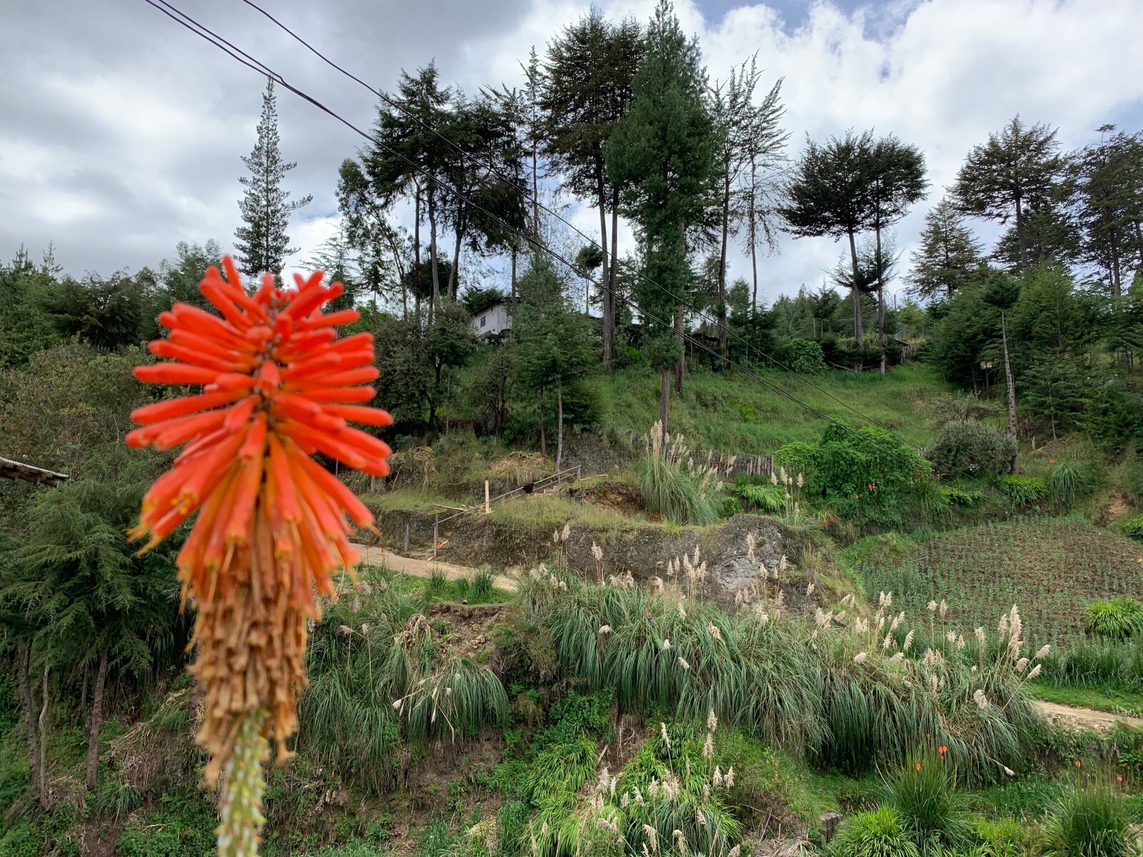 Apple iPhone XR sample photo. Cajamarca, peru, culture photography