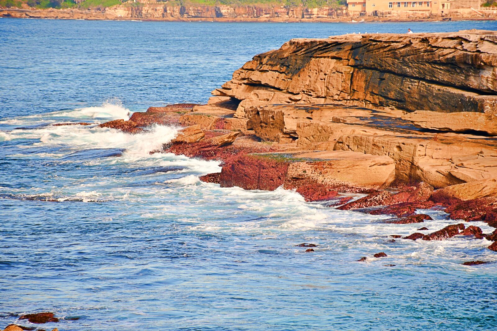 Nikon D7500 sample photo. Rugged shoreline, rocky beach photography