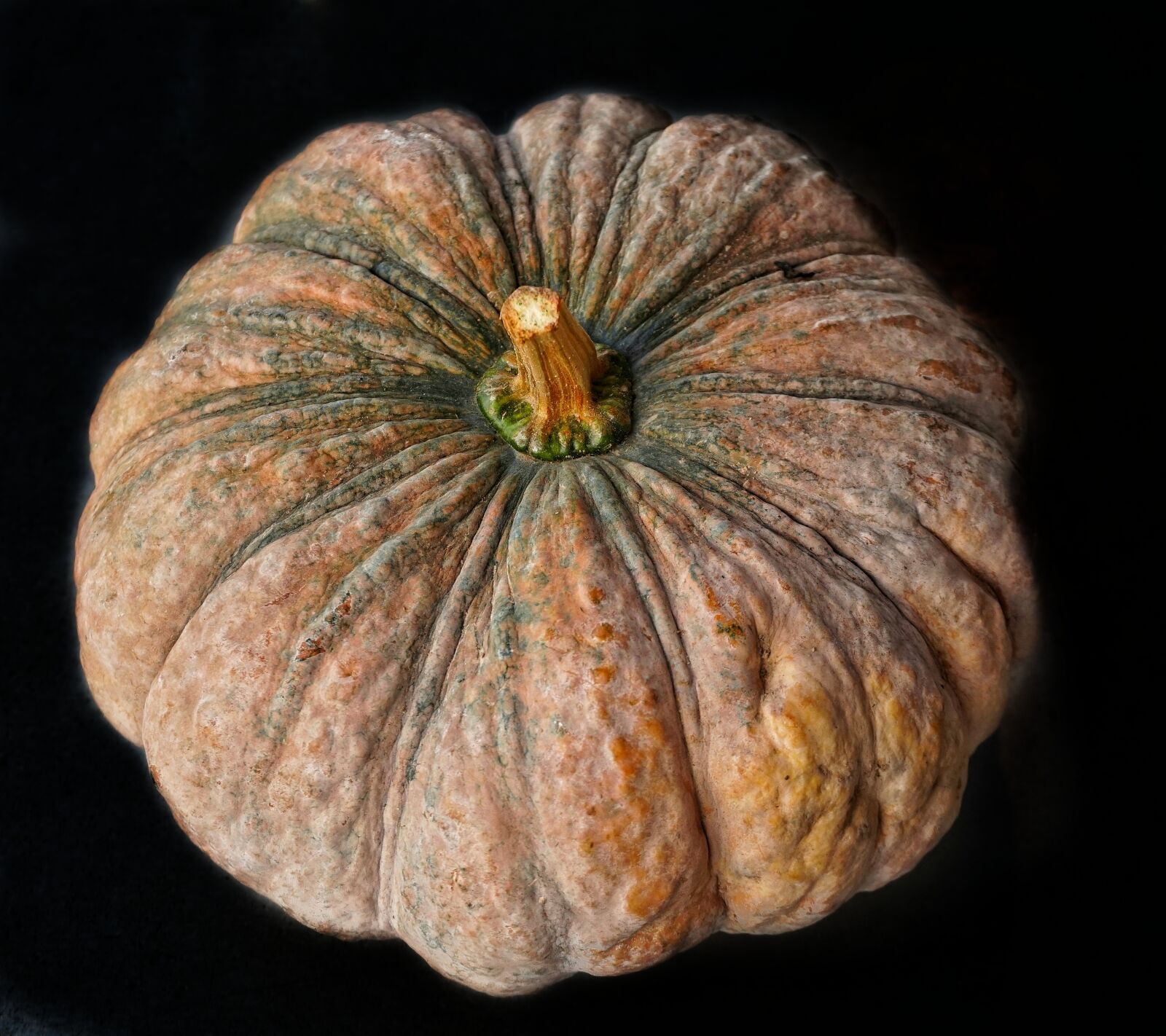 Sony a6300 sample photo. Large, pumpkin, halloween photography