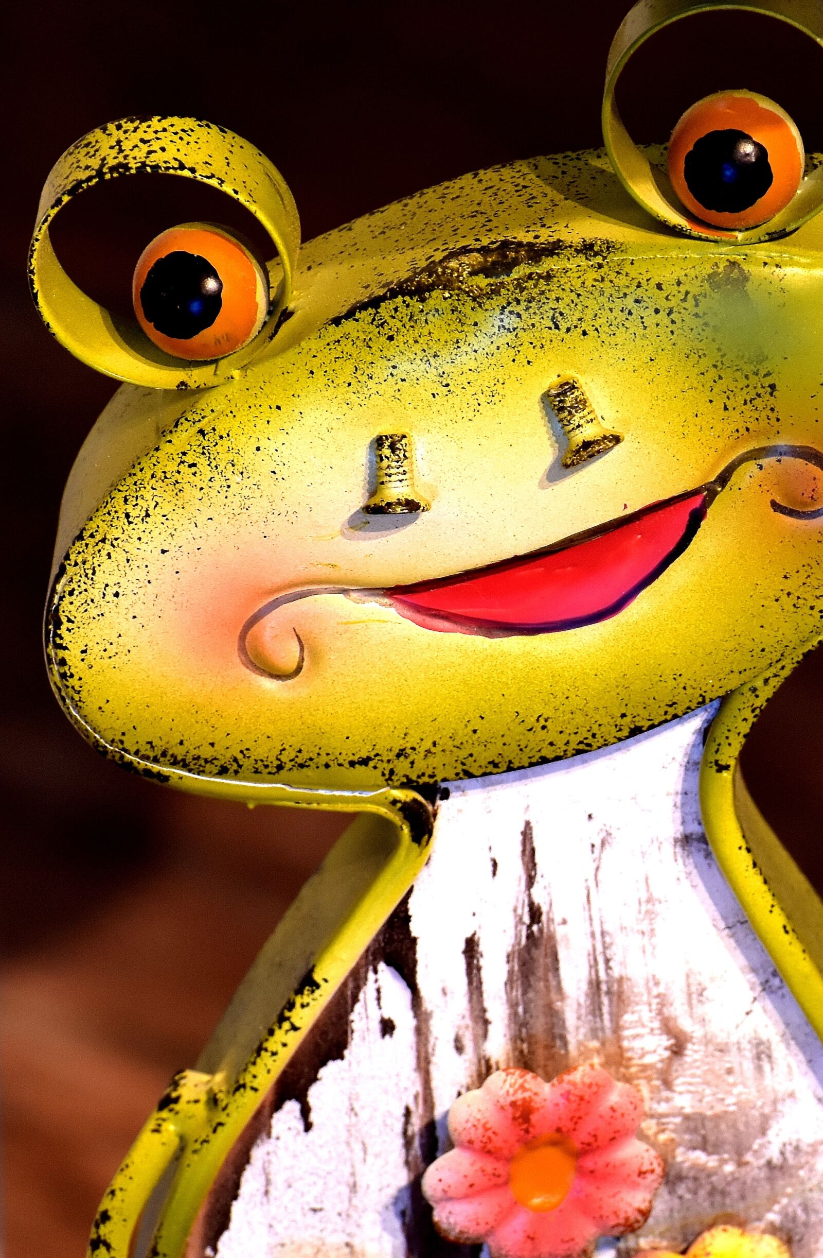 Nikon D7200 sample photo. Frog, figure, metal photography