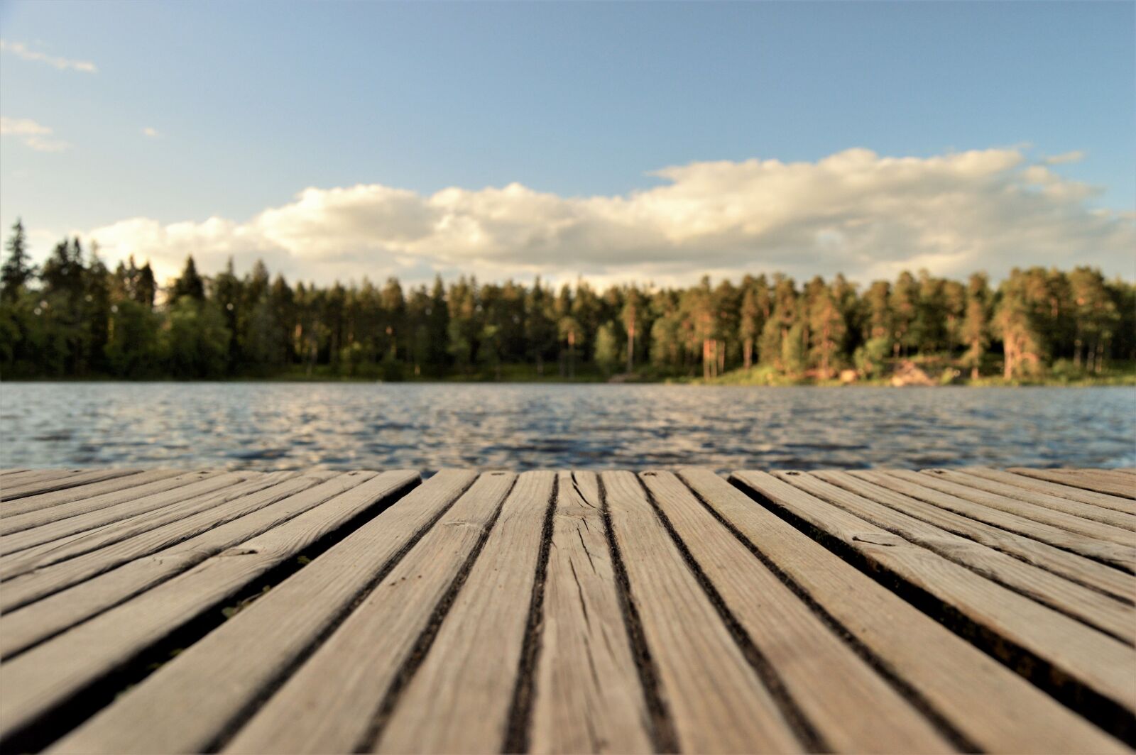 Nikon D3200 sample photo. Bridge, focus, water photography