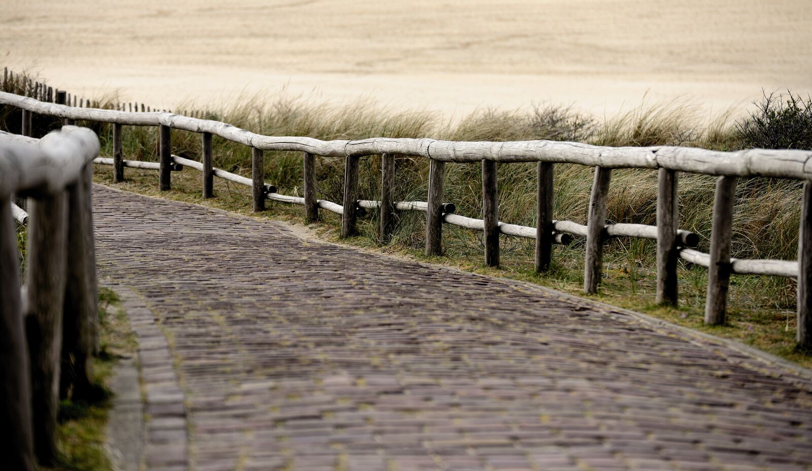 Nikon D610 sample photo. Away, patch, north sea photography