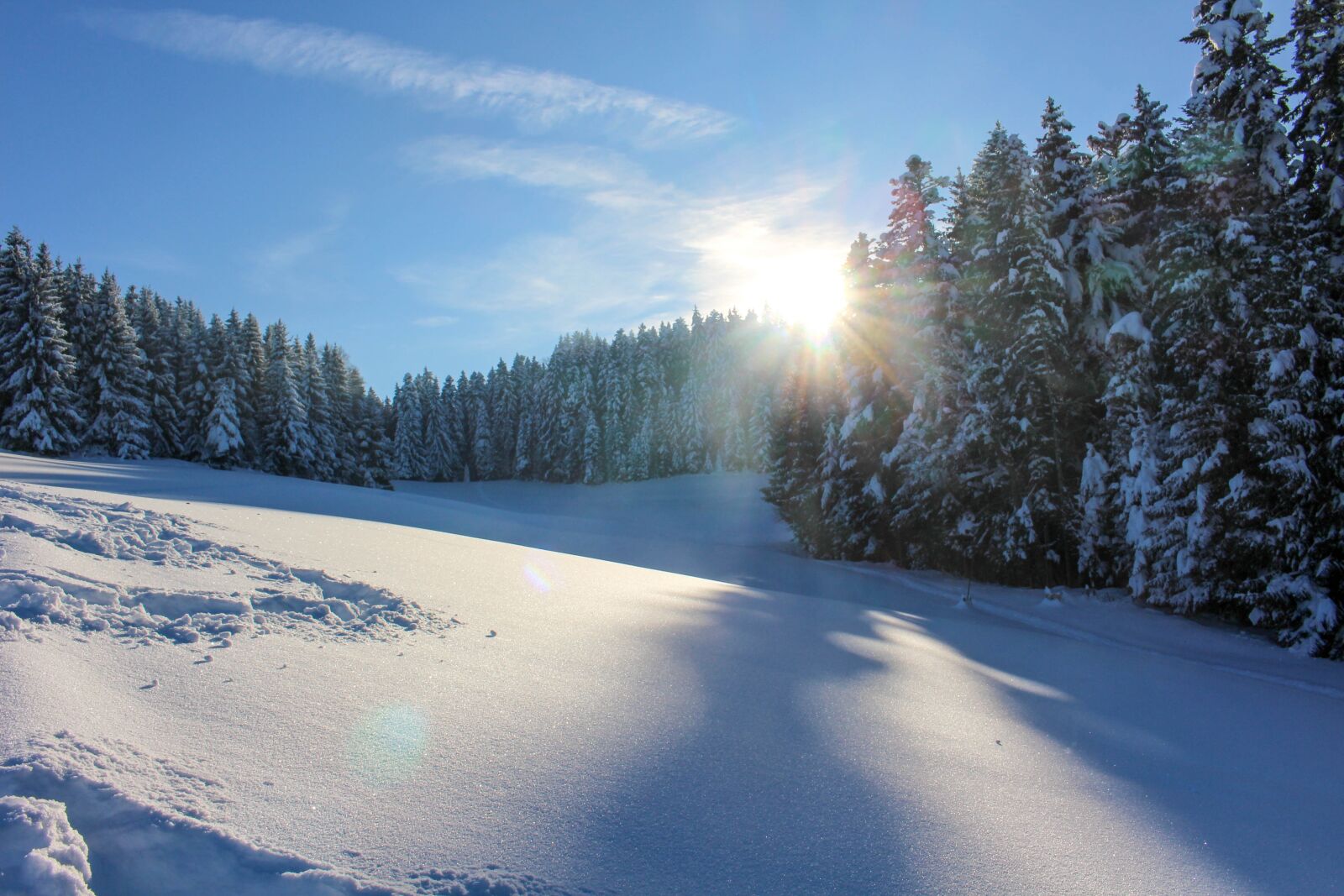 Canon EOS 100D (EOS Rebel SL1 / EOS Kiss X7) sample photo. Snow, sun, tree photography