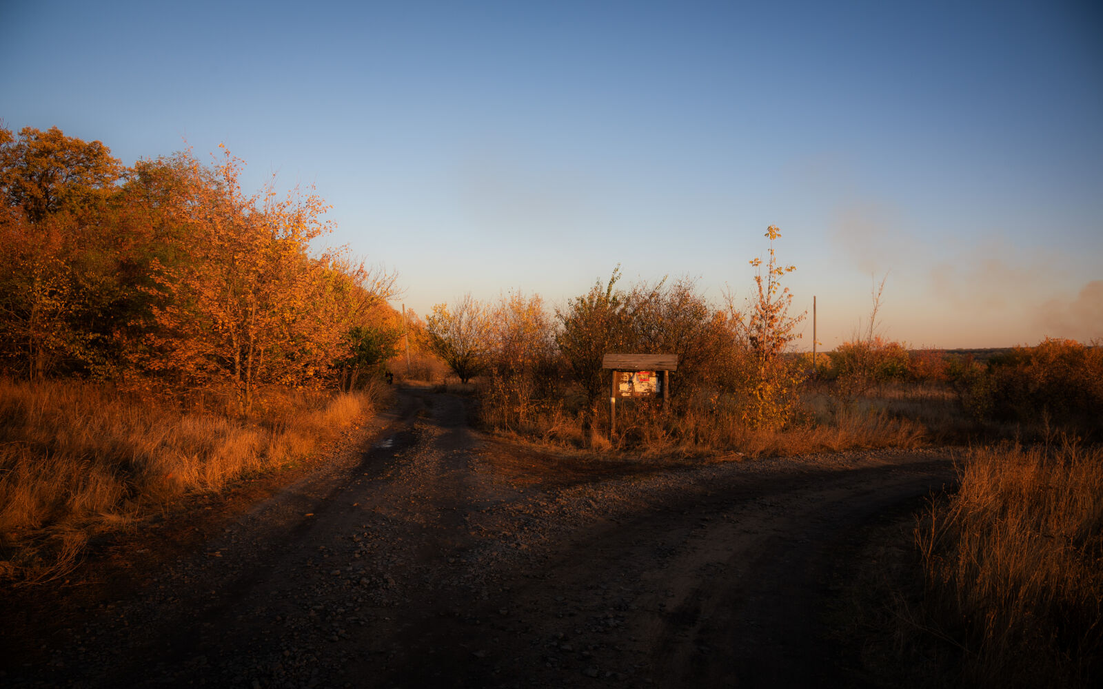 Nikon D750 sample photo