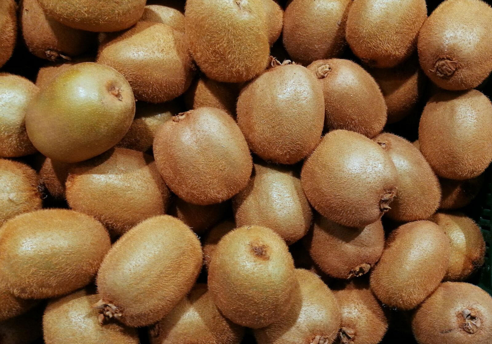 HUAWEI SNE-LX1 sample photo. Kiwi, fruit, vitamins photography