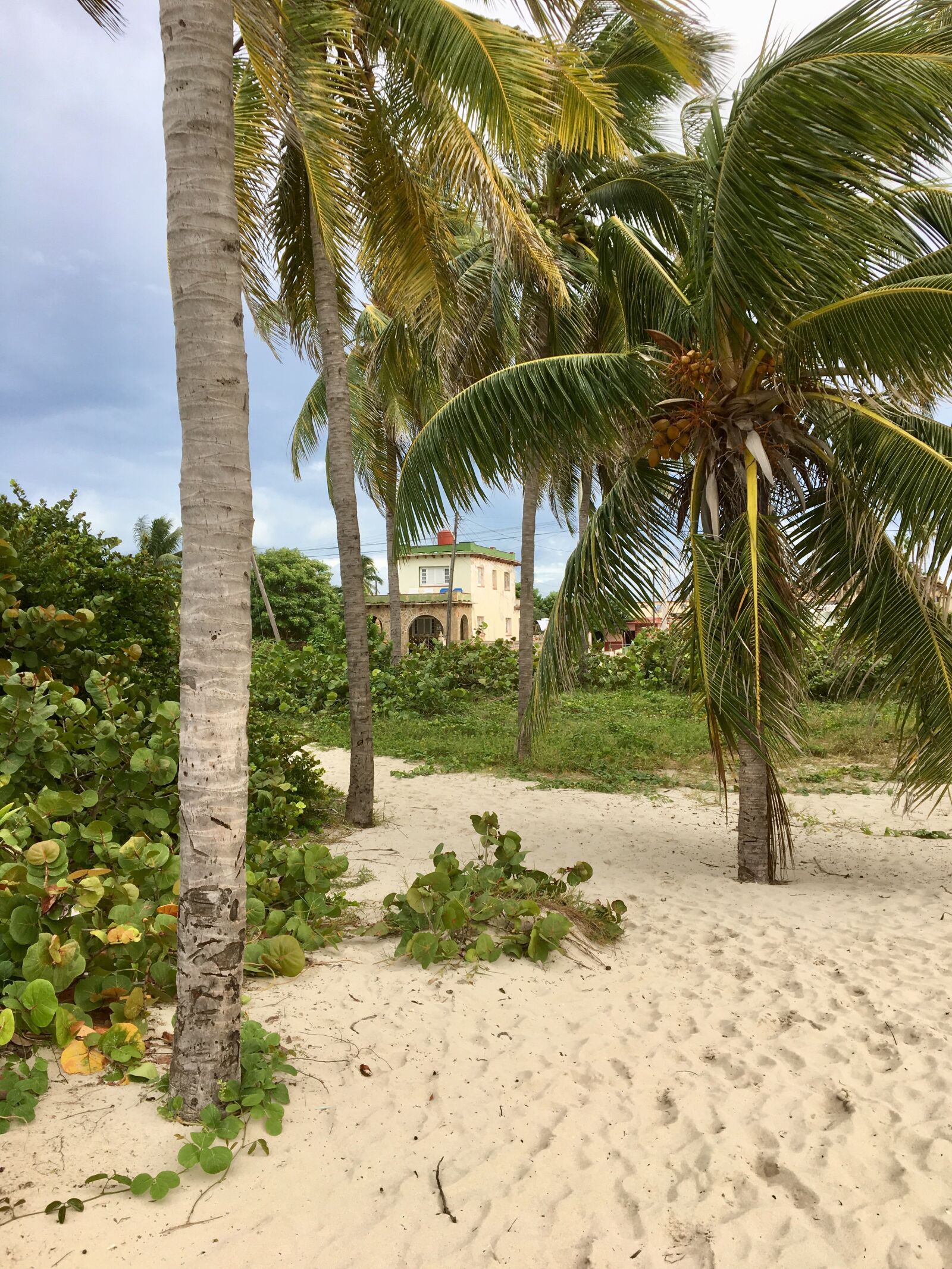 Apple iPhone 6s sample photo. Cuba, varadero, beach photography
