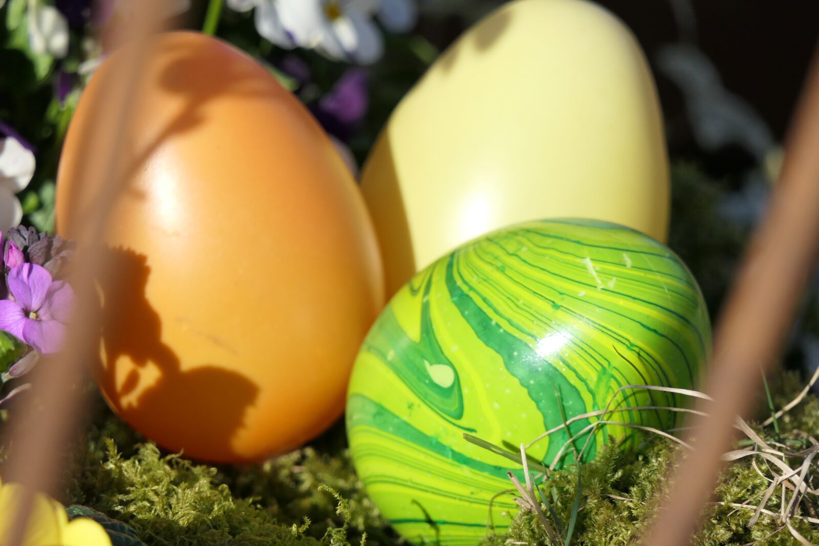 Panasonic Lumix DMC-FZ2500 (Lumix DMC-FZ2000) sample photo. Easter, easter hunt, spring photography