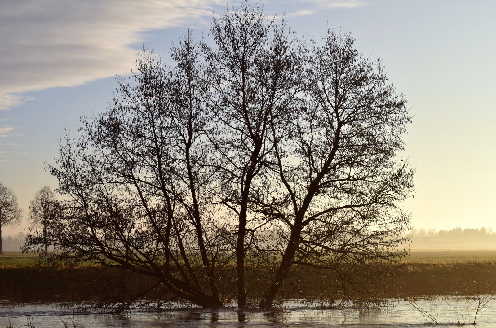 Nikon D3300 sample photo. Kahl, winter, twilight photography