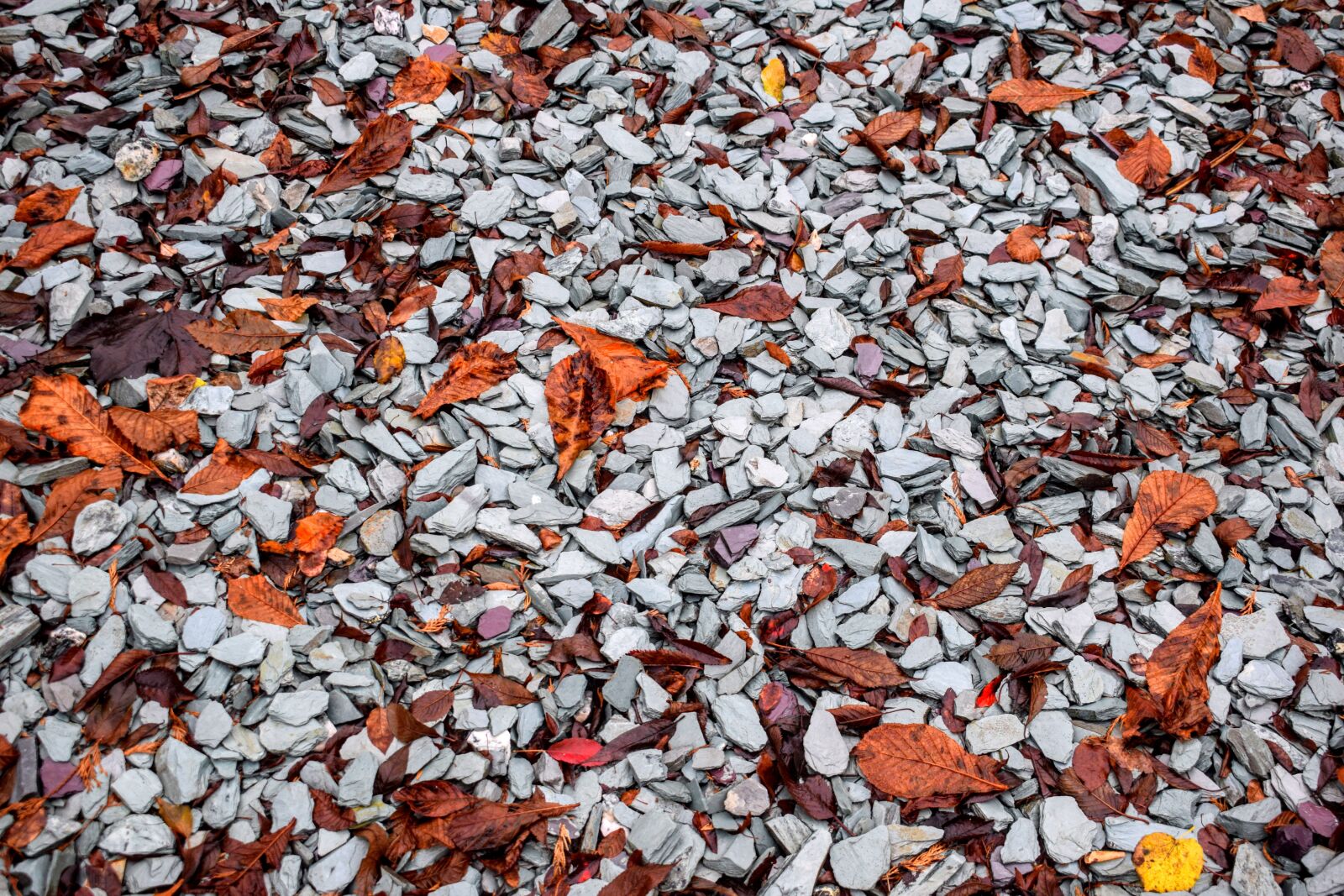 Nikon D3300 sample photo. Background, pebbles, stones photography