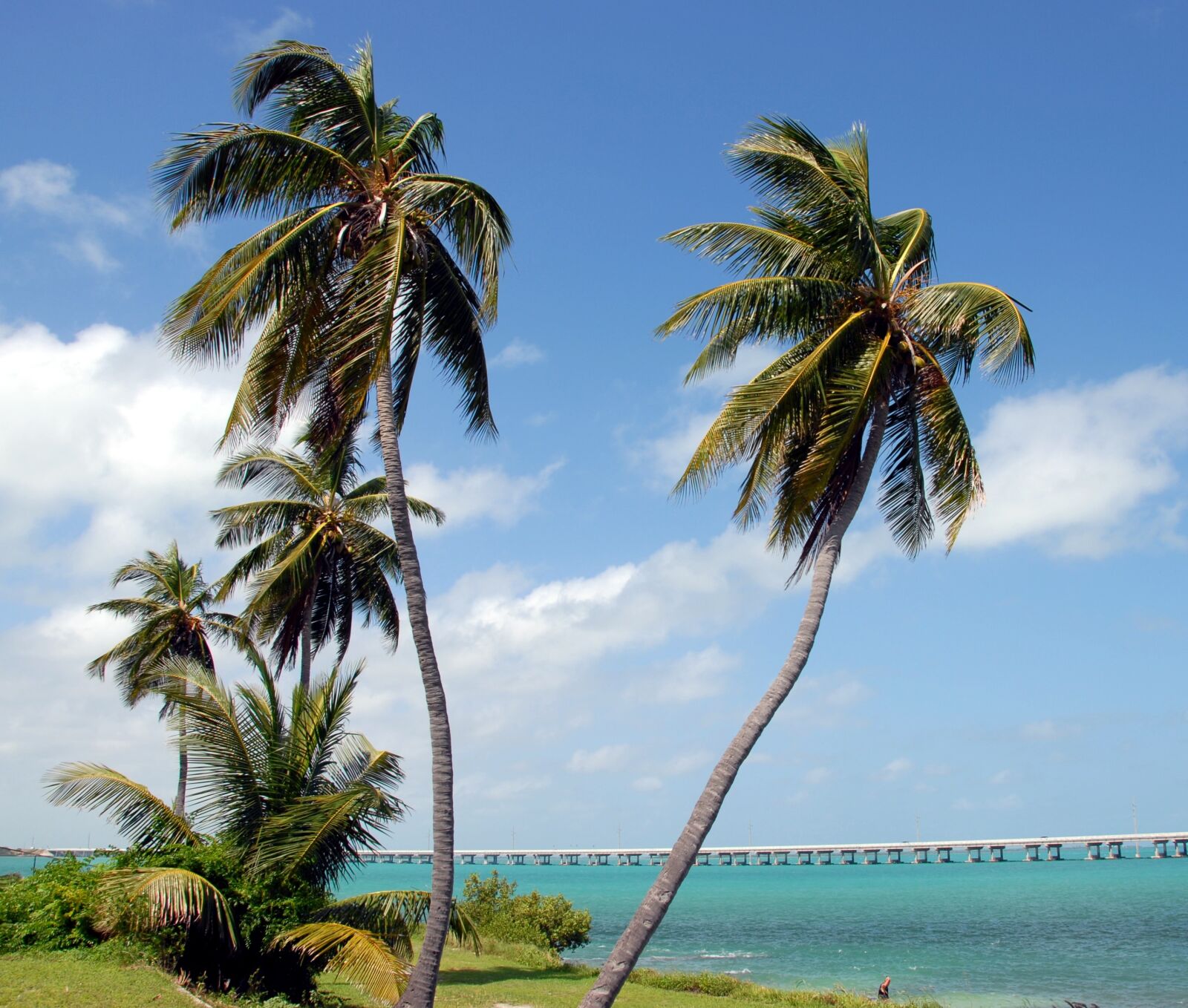 Nikon D200 sample photo. Bahia honda, state park photography