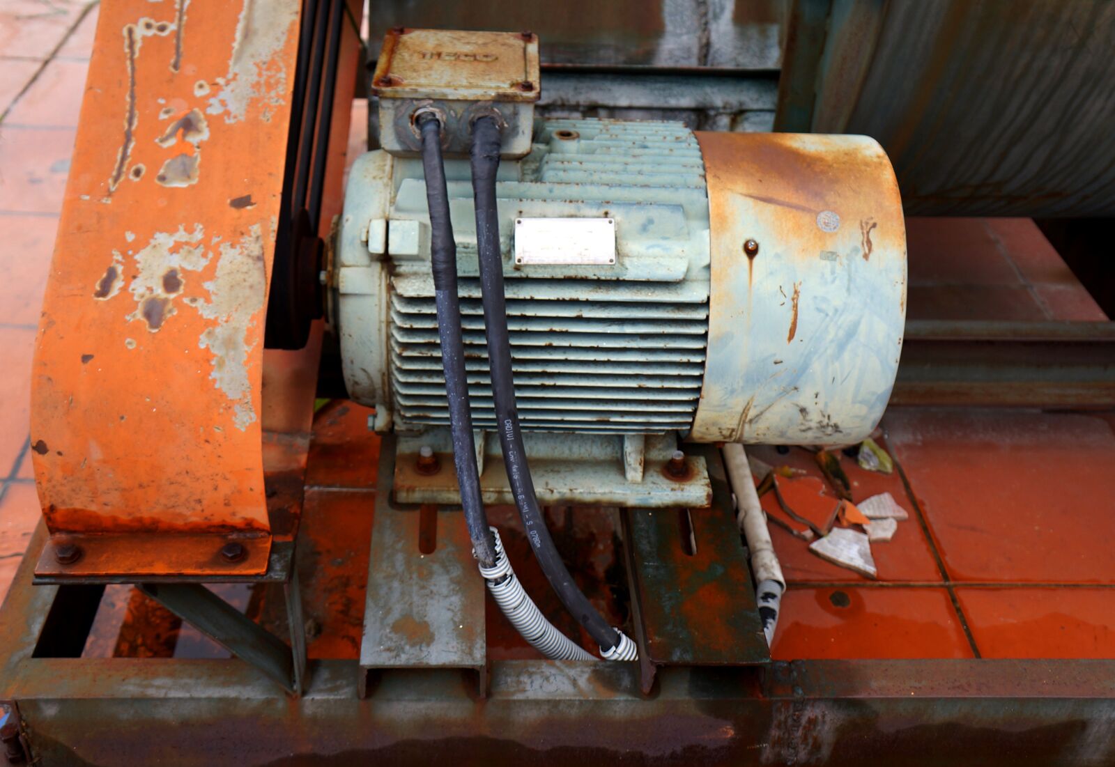Sony Alpha NEX-F3 + Sony E 18-55mm F3.5-5.6 OSS sample photo. Mechanical, plant tubers, rust photography