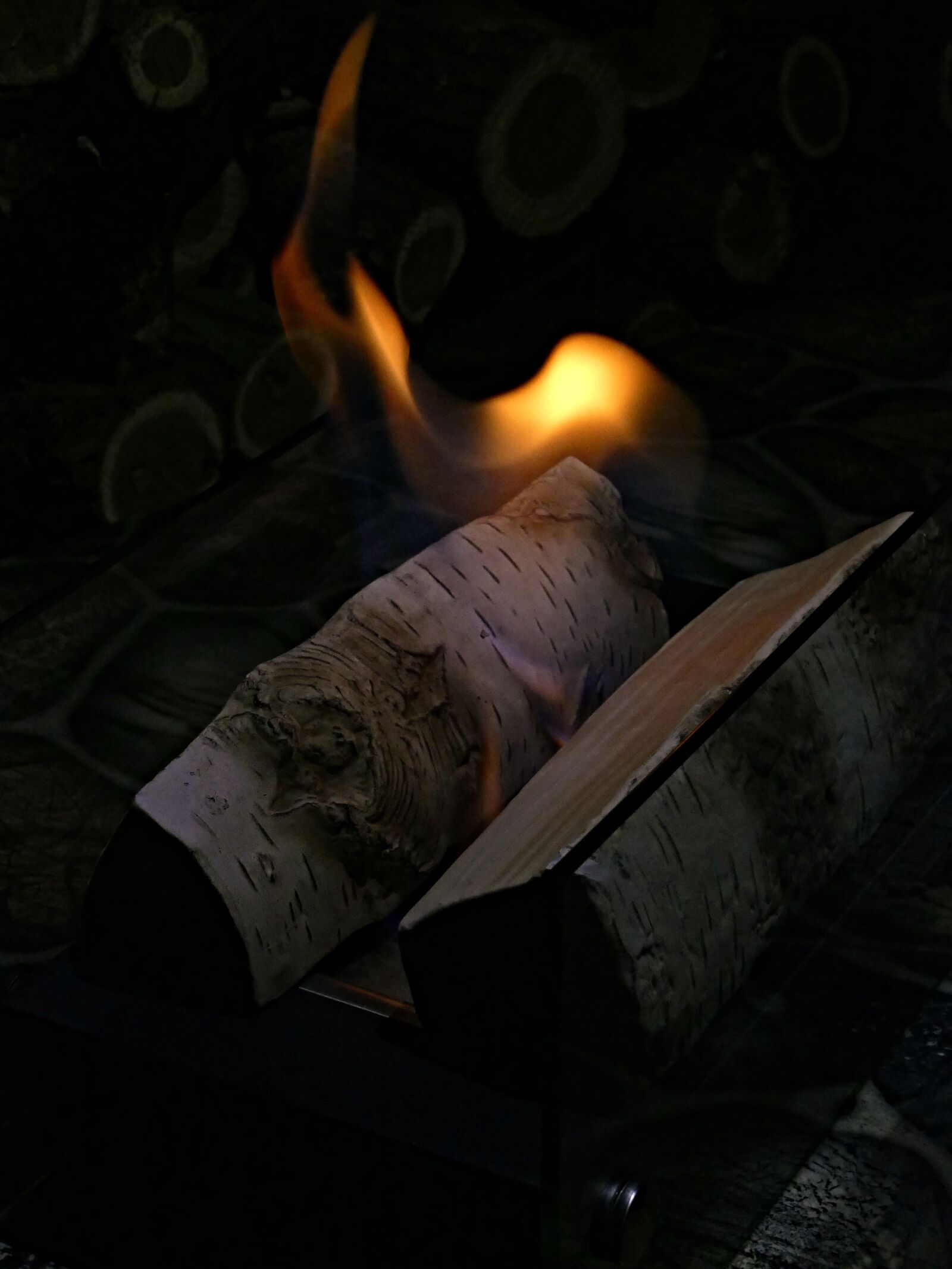 Panasonic Lumix DMC-FZ1000 sample photo. Bio, fireplace, flame photography