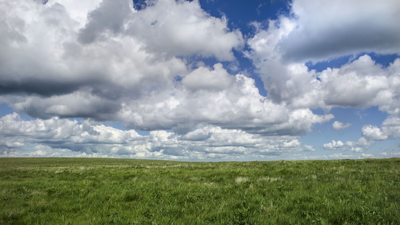 Nikon D5100 sample photo. Sky, nature, clouds photography