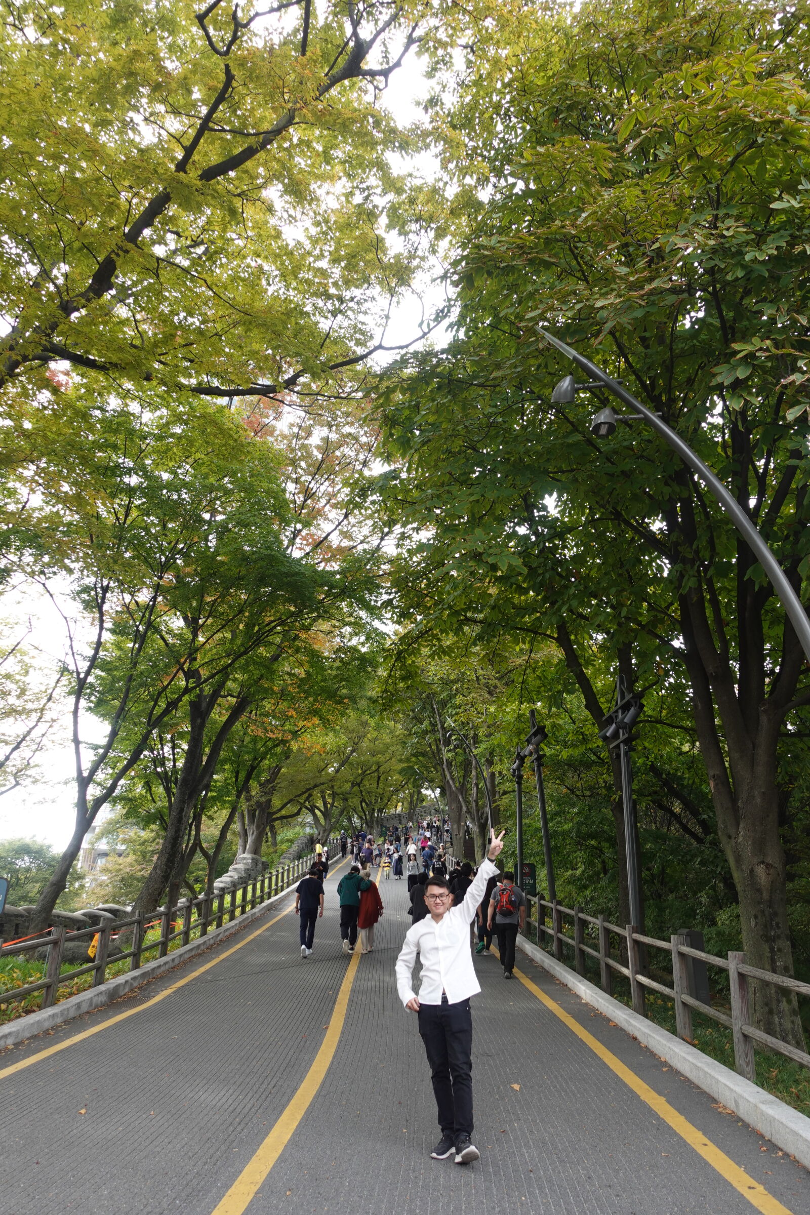 Sony ZV-1 sample photo