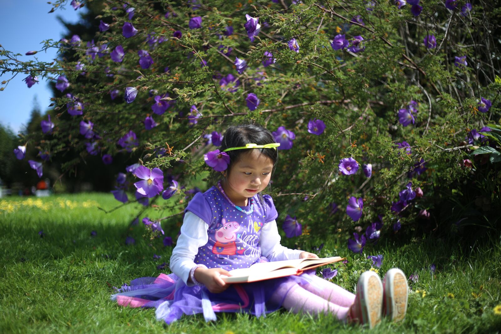 Canon EOS 6D + Canon EF 50mm F1.8 STM sample photo. Cute little girl, smart photography