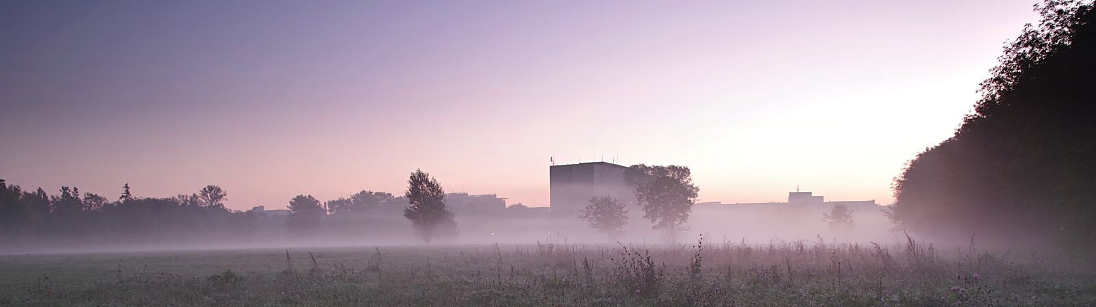 Pentax K-S2 sample photo. The fog, national library photography