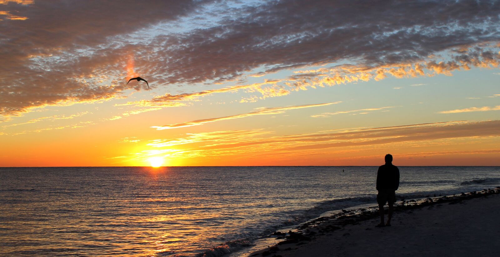 Canon EOS 1100D (EOS Rebel T3 / EOS Kiss X50) sample photo. Sunset, fort, meyers photography