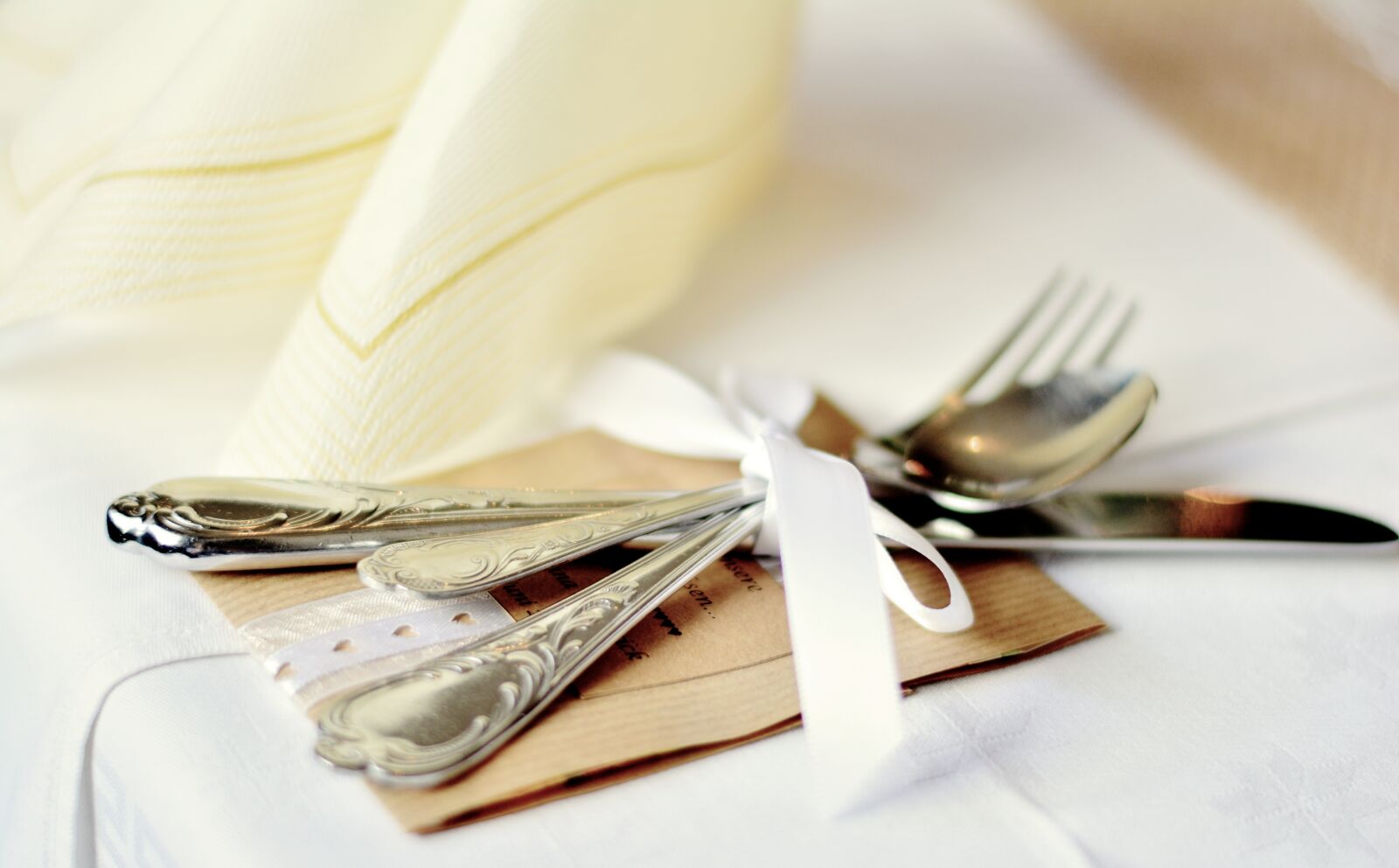 Nikon D5200 sample photo. Cutlery, cover, metal photography