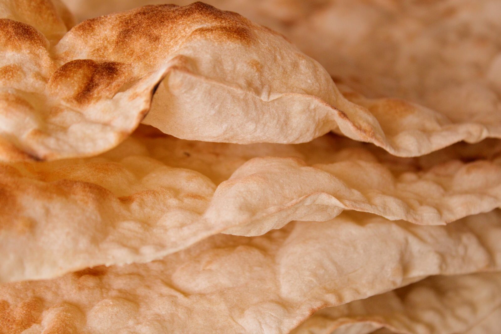 Canon EOS 2000D (EOS Rebel T7 / EOS Kiss X90 / EOS 1500D) sample photo. Armenian lavash, flatbread, bread photography