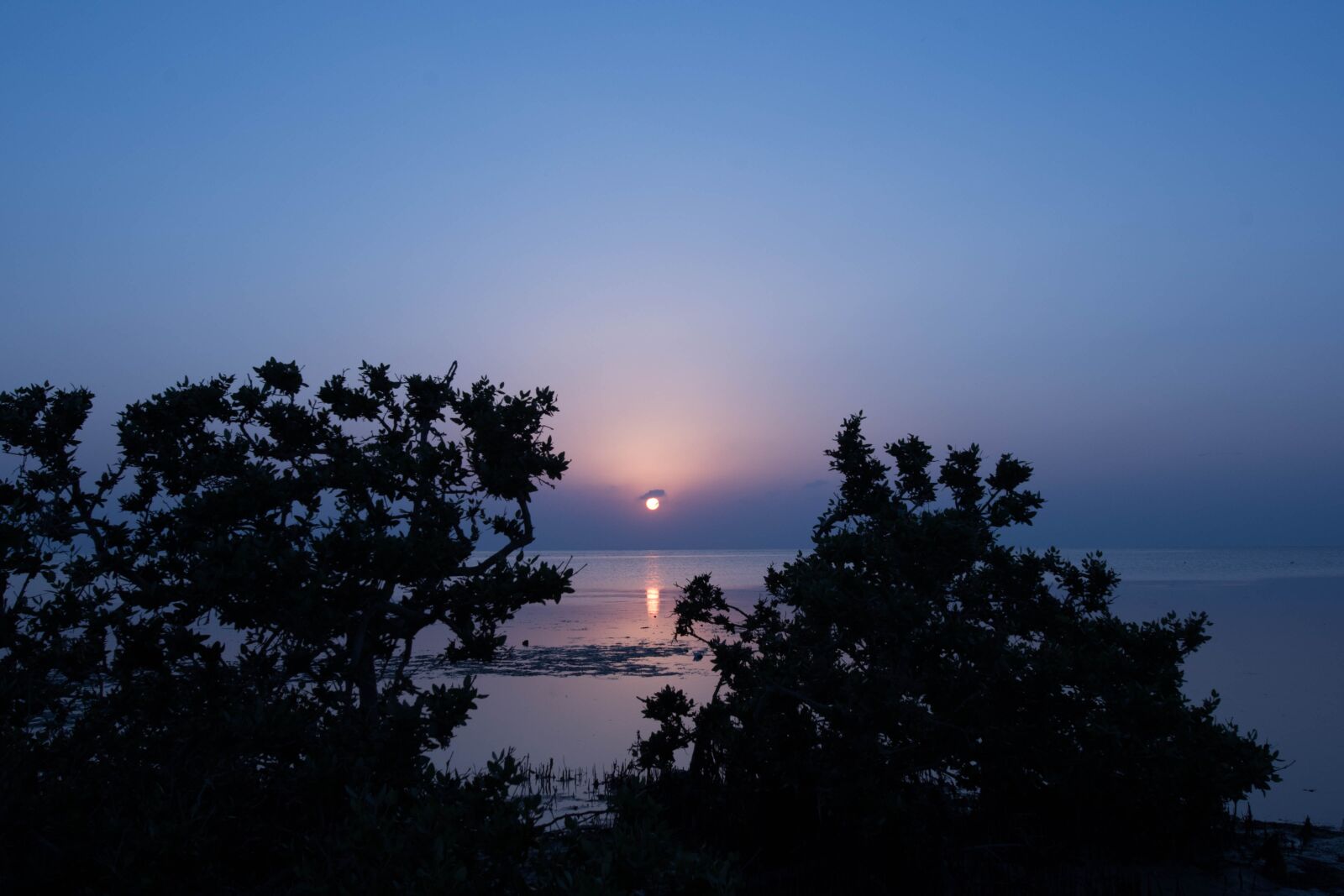 Nikon D810 sample photo. Sunset, southern, saudi arabia photography