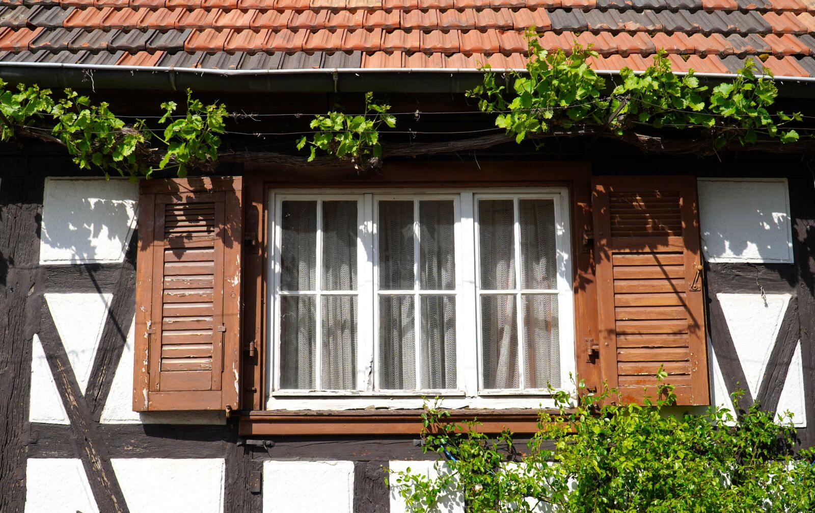 Sony E PZ 18-105mm F4 G OSS sample photo. Window, truss, fachwerkhaus photography