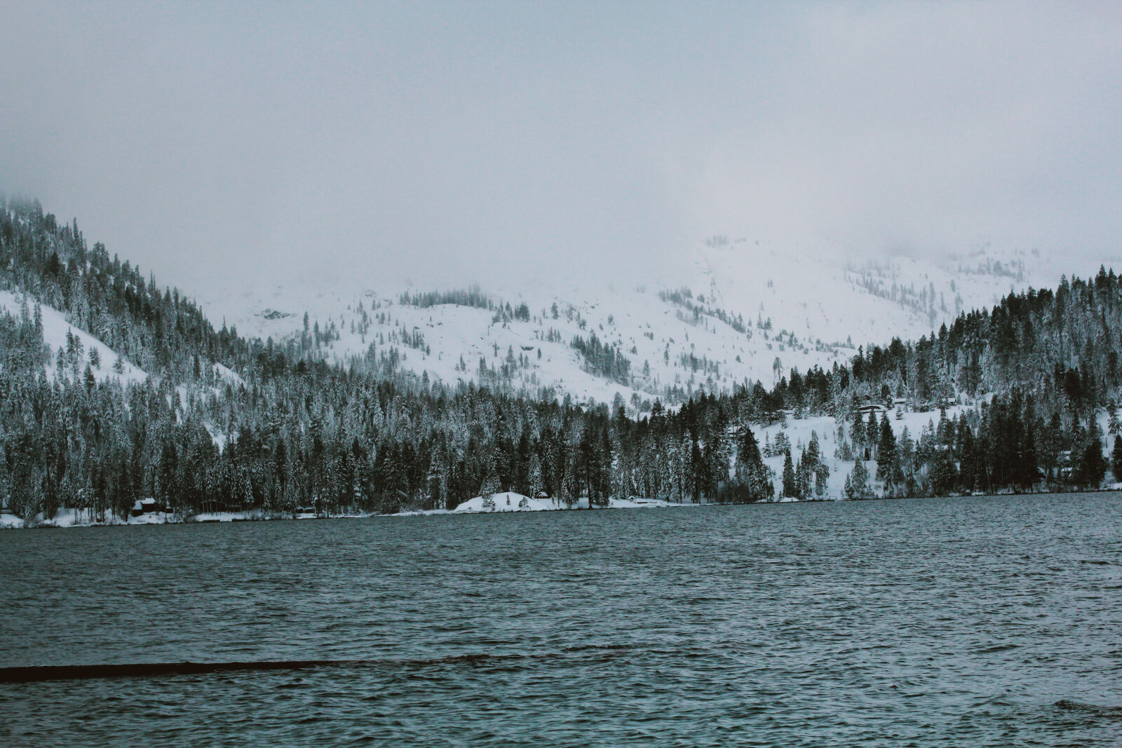 Canon EOS 600D (Rebel EOS T3i / EOS Kiss X5) + Canon EF 50mm F1.4 USM sample photo. Nature, snow, yosemite photography