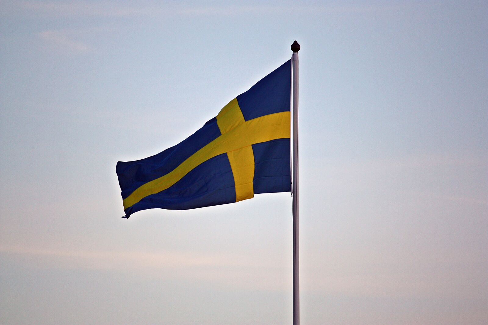 Canon EOS 450D (EOS Rebel XSi / EOS Kiss X2) sample photo. Flag, swedish flag, blue-and-yellow photography