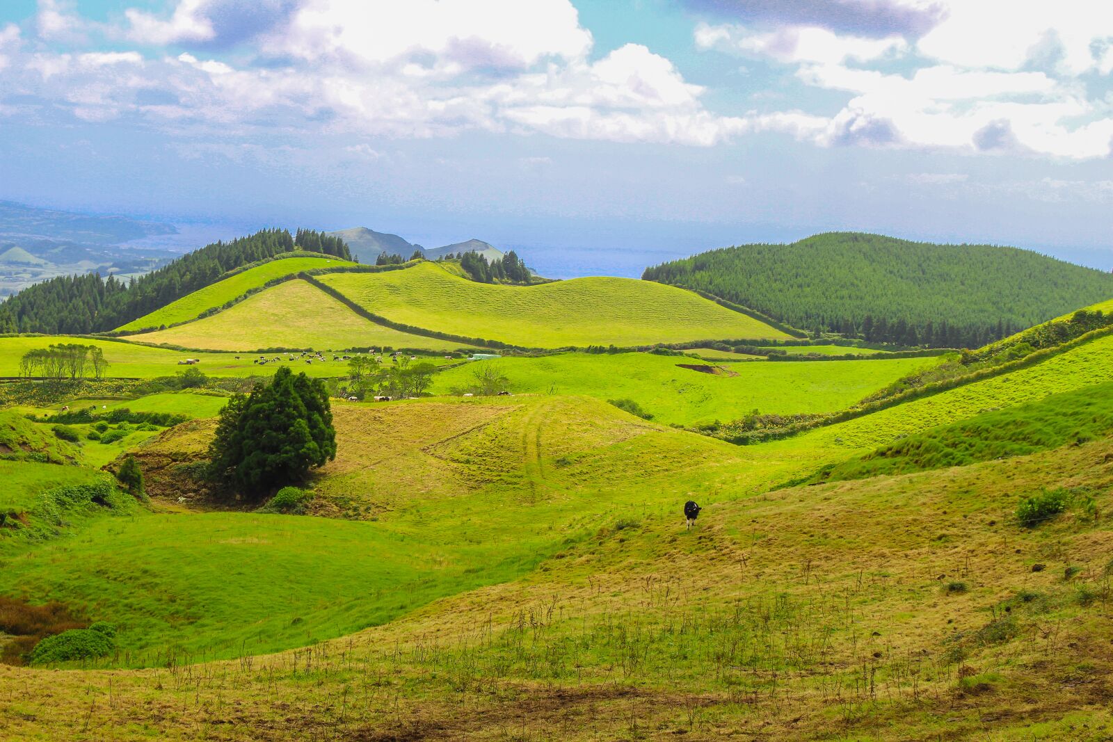 Canon EOS 700D (EOS Rebel T5i / EOS Kiss X7i) sample photo. Island, azores, atlantic photography