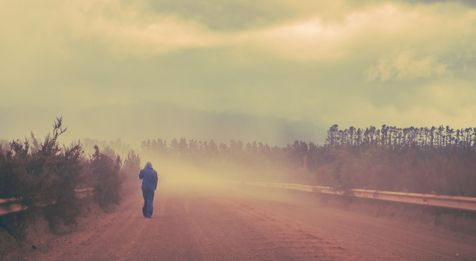 Nikon D7000 sample photo. Mist, dust, fog photography