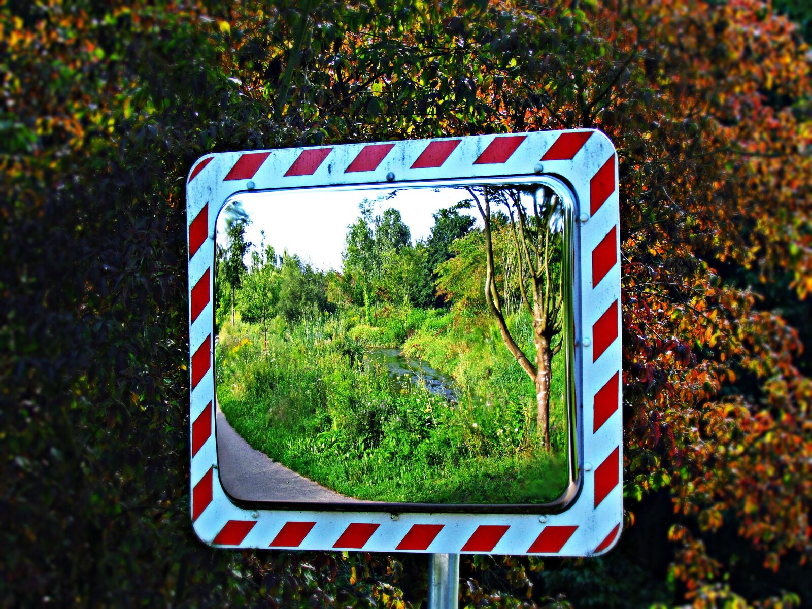 Canon PowerShot SX30 IS sample photo. Mirror, reflection, green photography