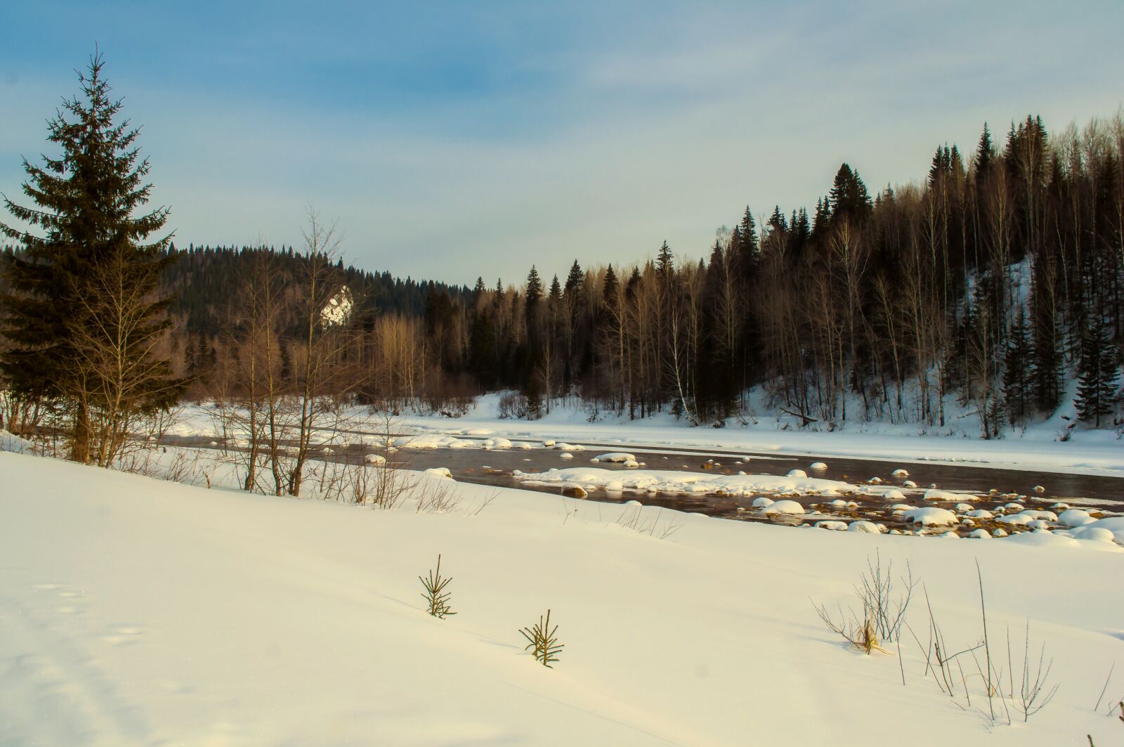 Nikon D5000 sample photo. Snow, winter, tree photography