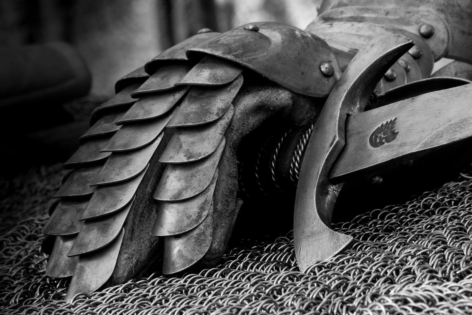 Canon EOS 20D sample photo. Middle ages, knight, armor photography