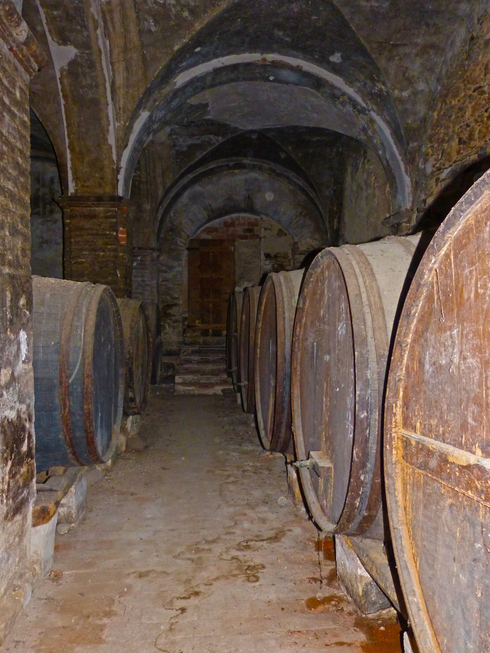 Panasonic DMC-FZ62 sample photo. Winery, casks, arcades photography