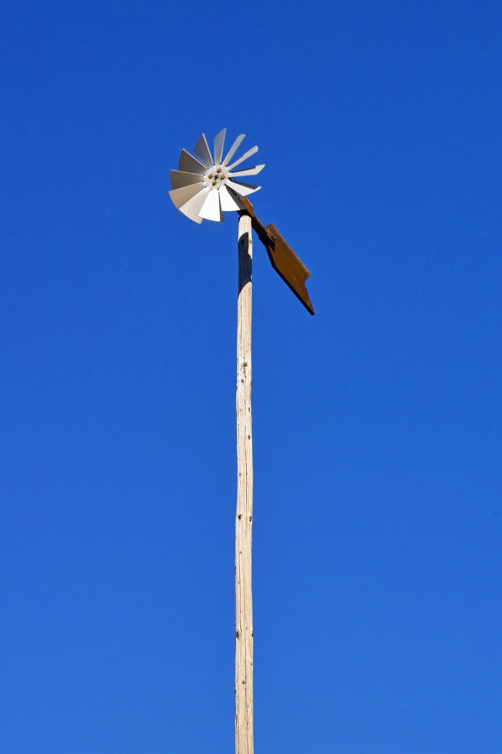 Sigma SD10 sample photo. Pinwheel, blue, wind energy photography