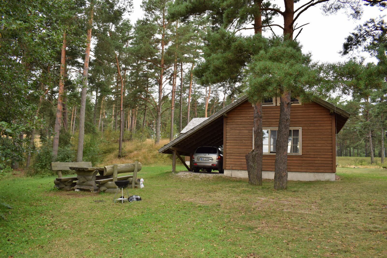 Nikon D3300 sample photo. Forest, camping, outdoors photography