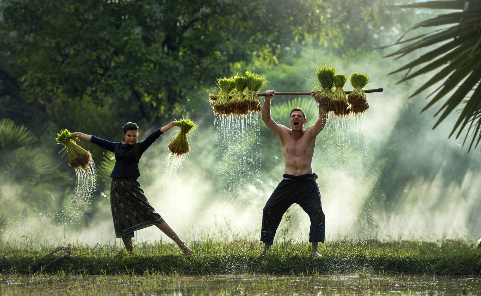 Nikon D810 sample photo. Harvest, myanmar, burma photography