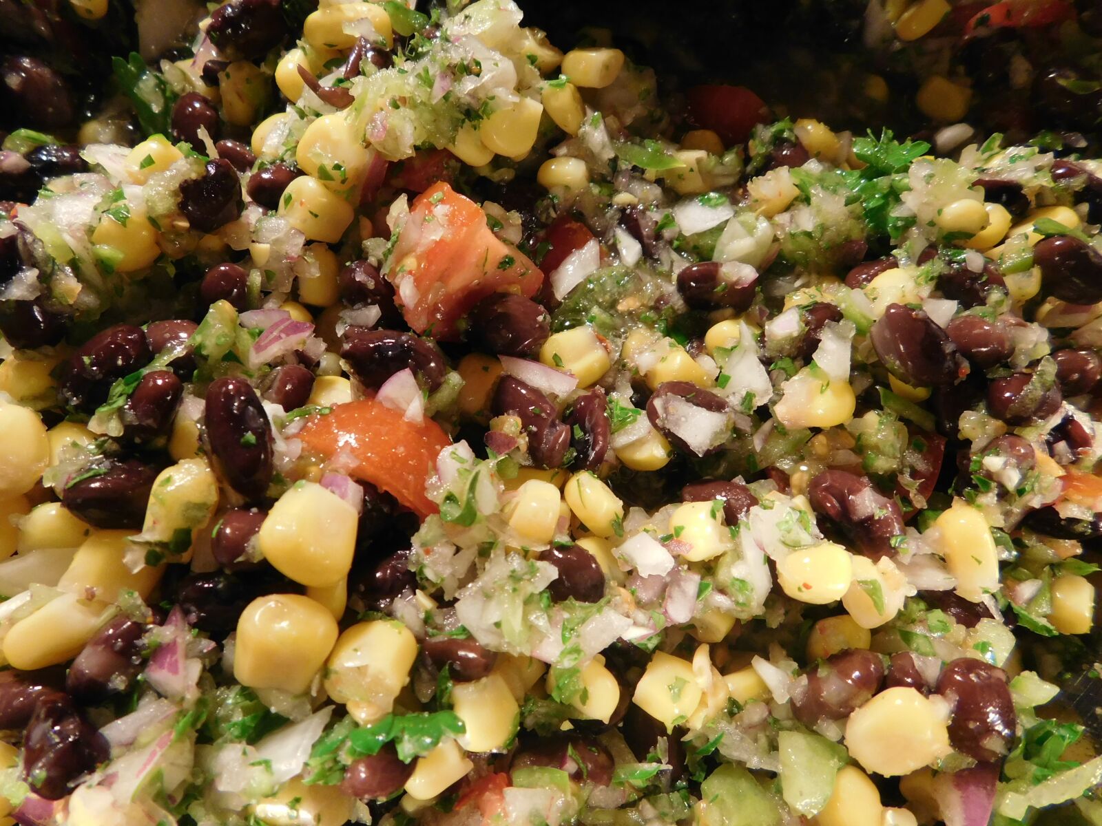 Nikon Coolpix L840 sample photo. Salad, whole meal, real photography
