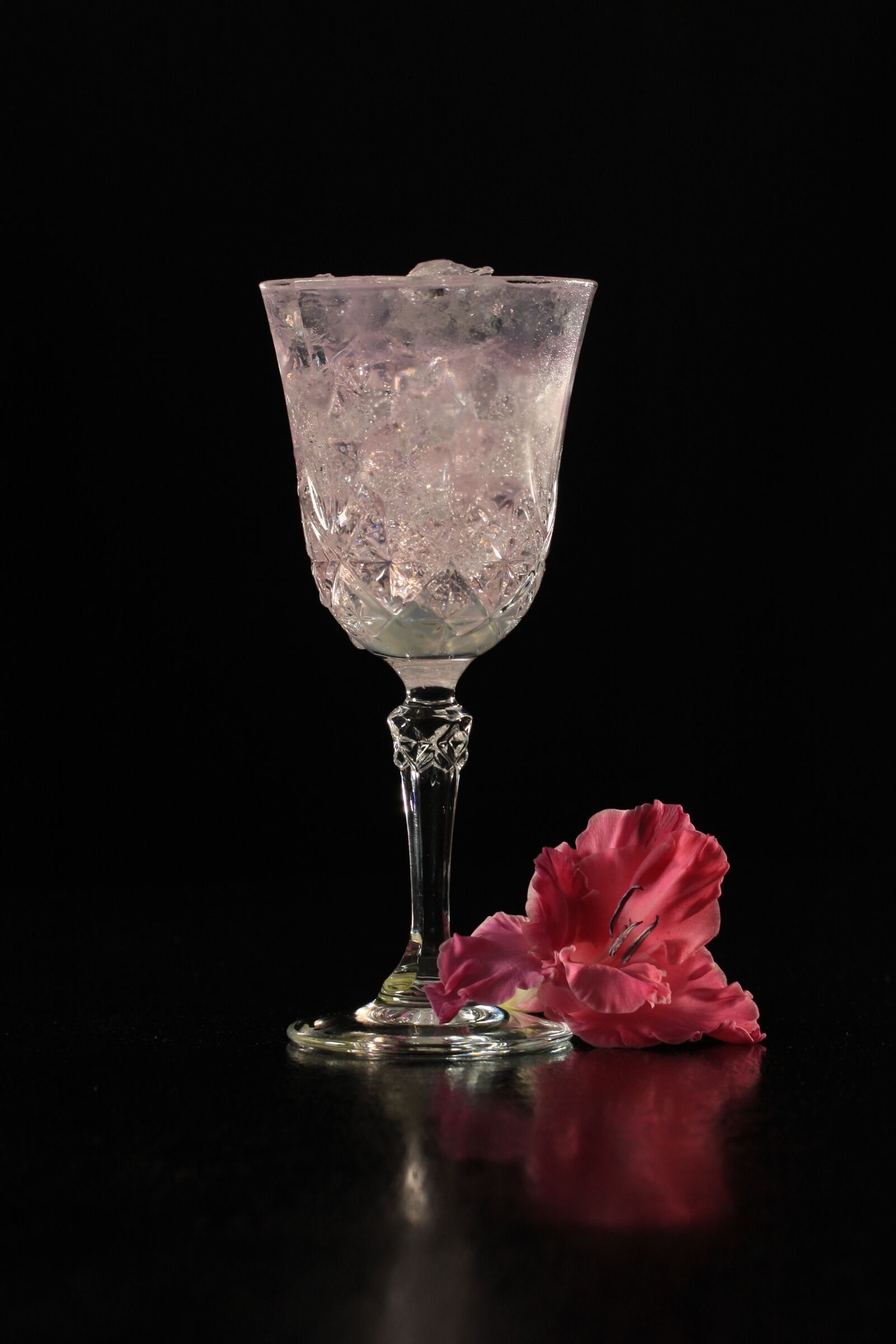 Canon EOS 40D sample photo. Gin and tonic, cocktail photography
