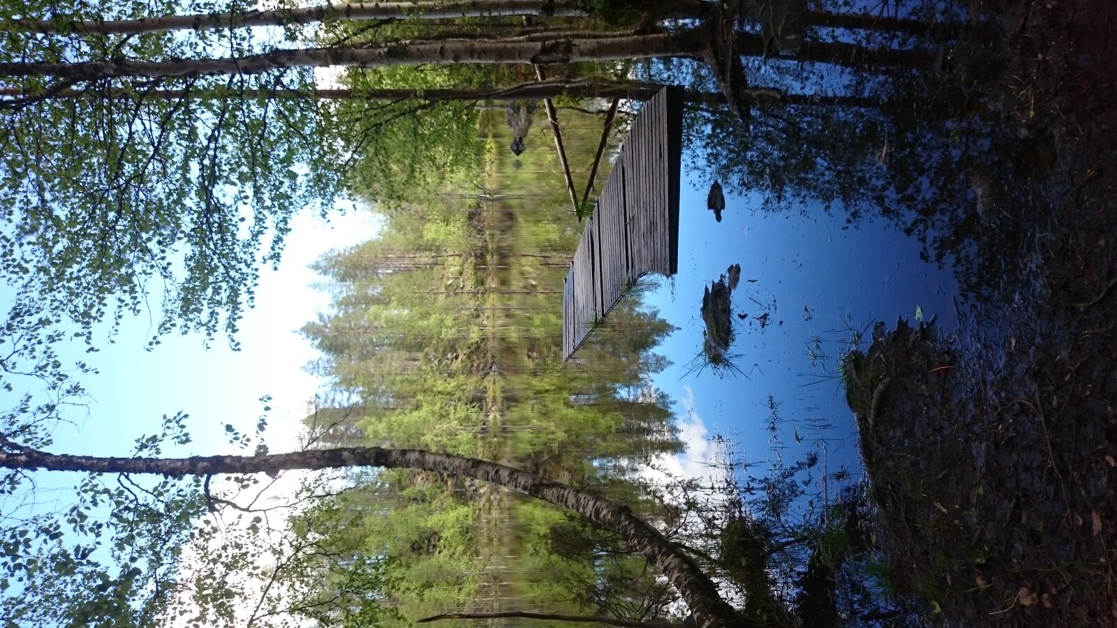 Sony Xperia Z1 Compact sample photo. Fishing, tackle, forest, lake photography