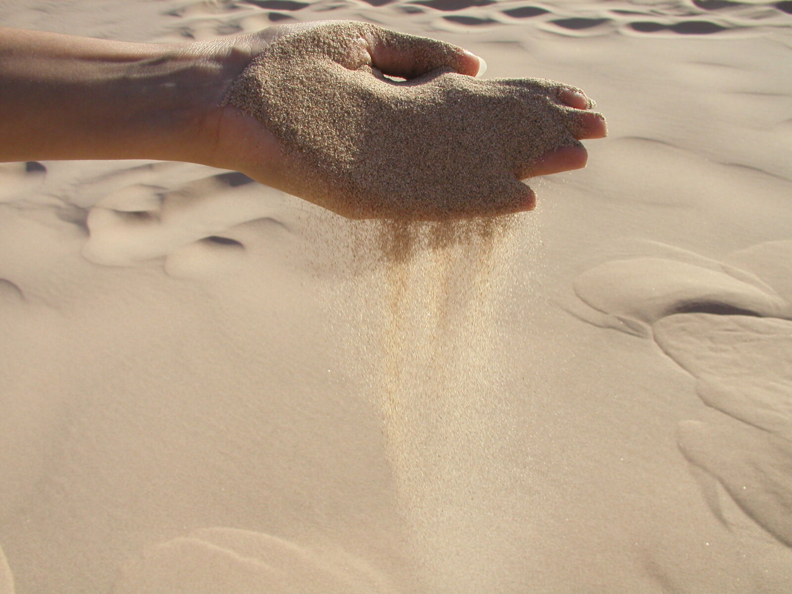 Olympus C4040Z sample photo. Hand, sand, sand, dune photography