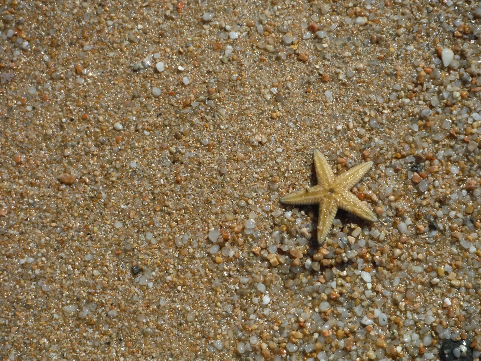 Fujifilm FinePix XP70 XP71 XP75 sample photo. Summer, sea, sand photography