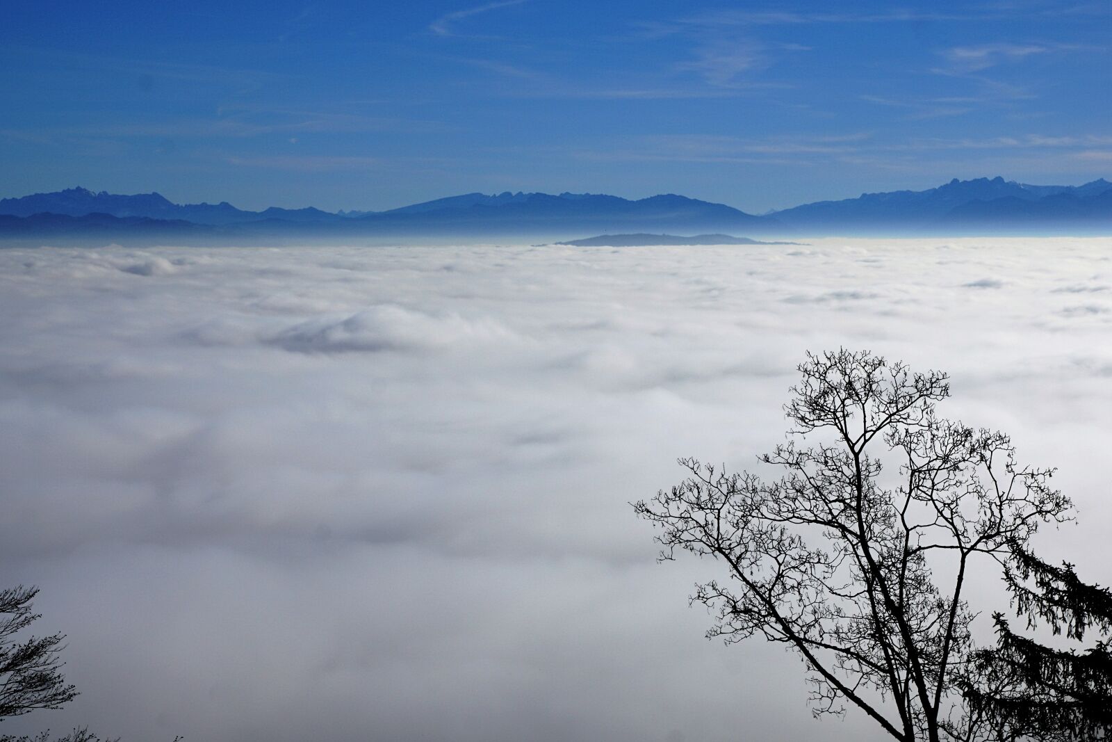 Sony ILCA-77M2 + Sony DT 16-50mm F2.8 SSM sample photo. Fog, sky, nature photography