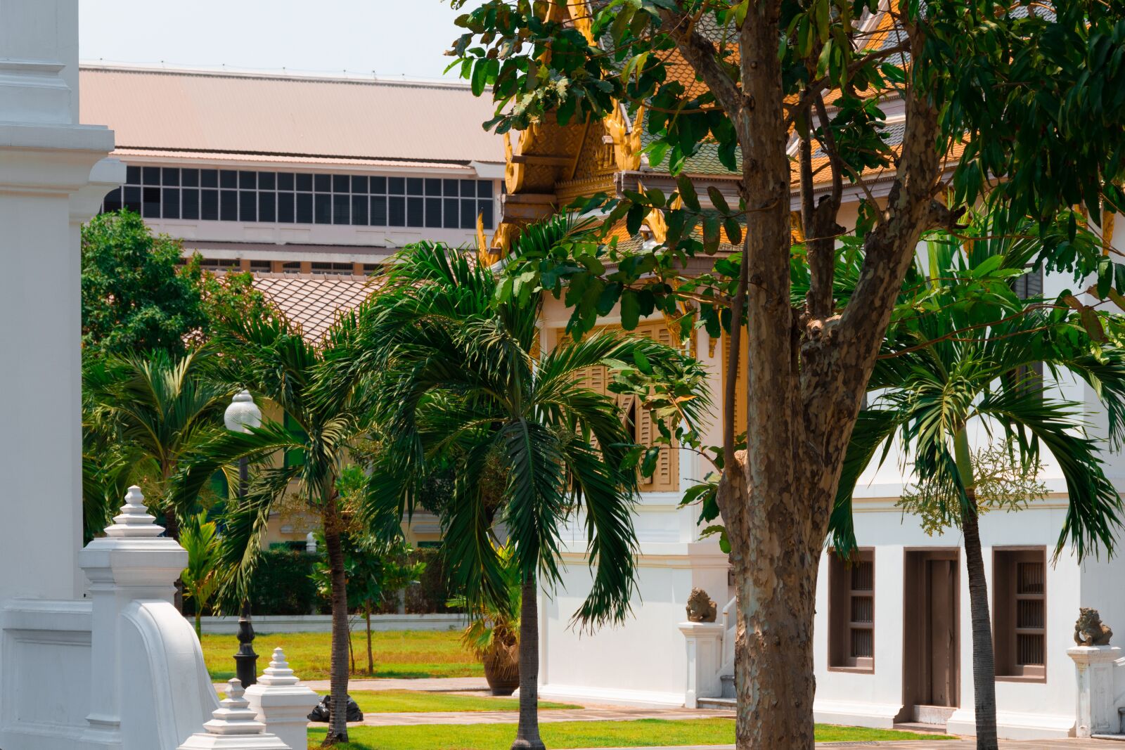 Nikon D5600 sample photo. Garden, temple, thailand photography