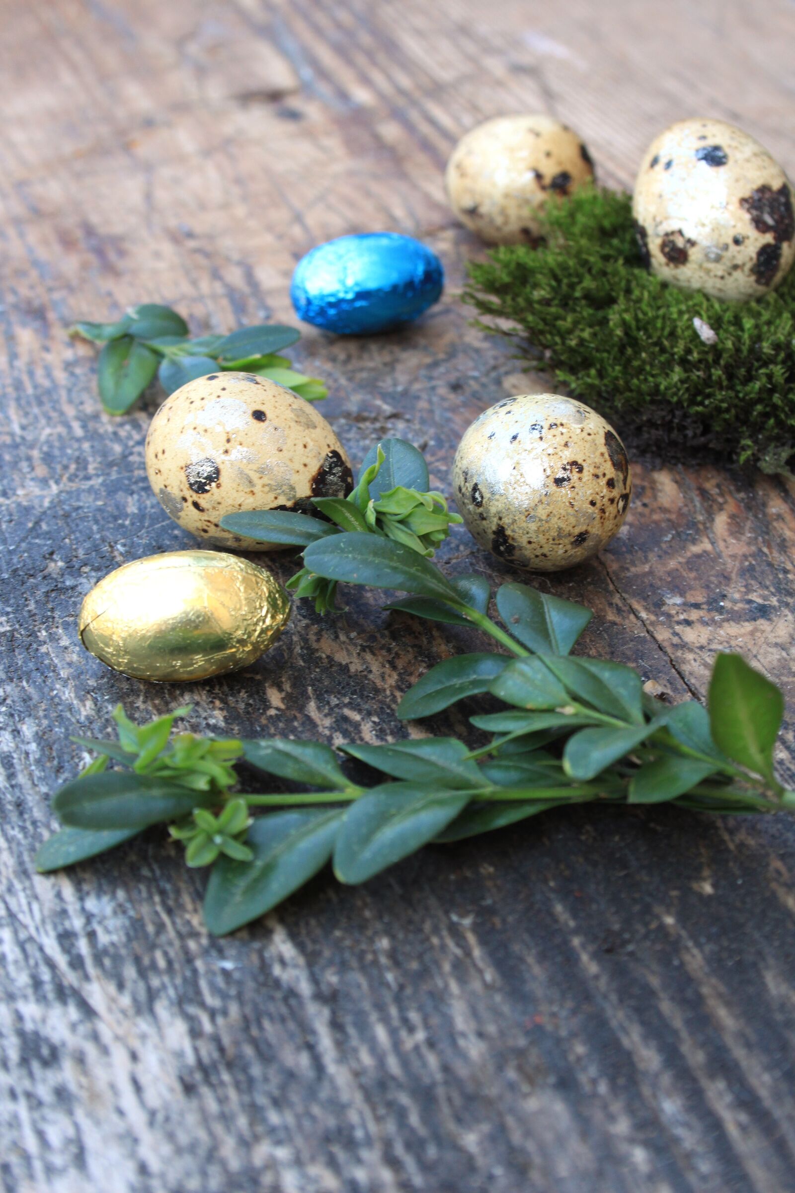 Canon EOS 500D (EOS Rebel T1i / EOS Kiss X3) sample photo. Egg, eggs, easter photography