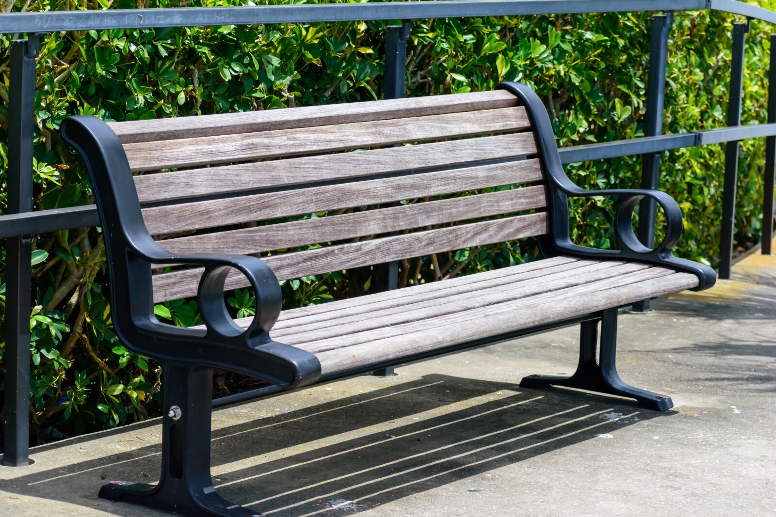 Nikon D3500 sample photo. Bench, sunny, park photography