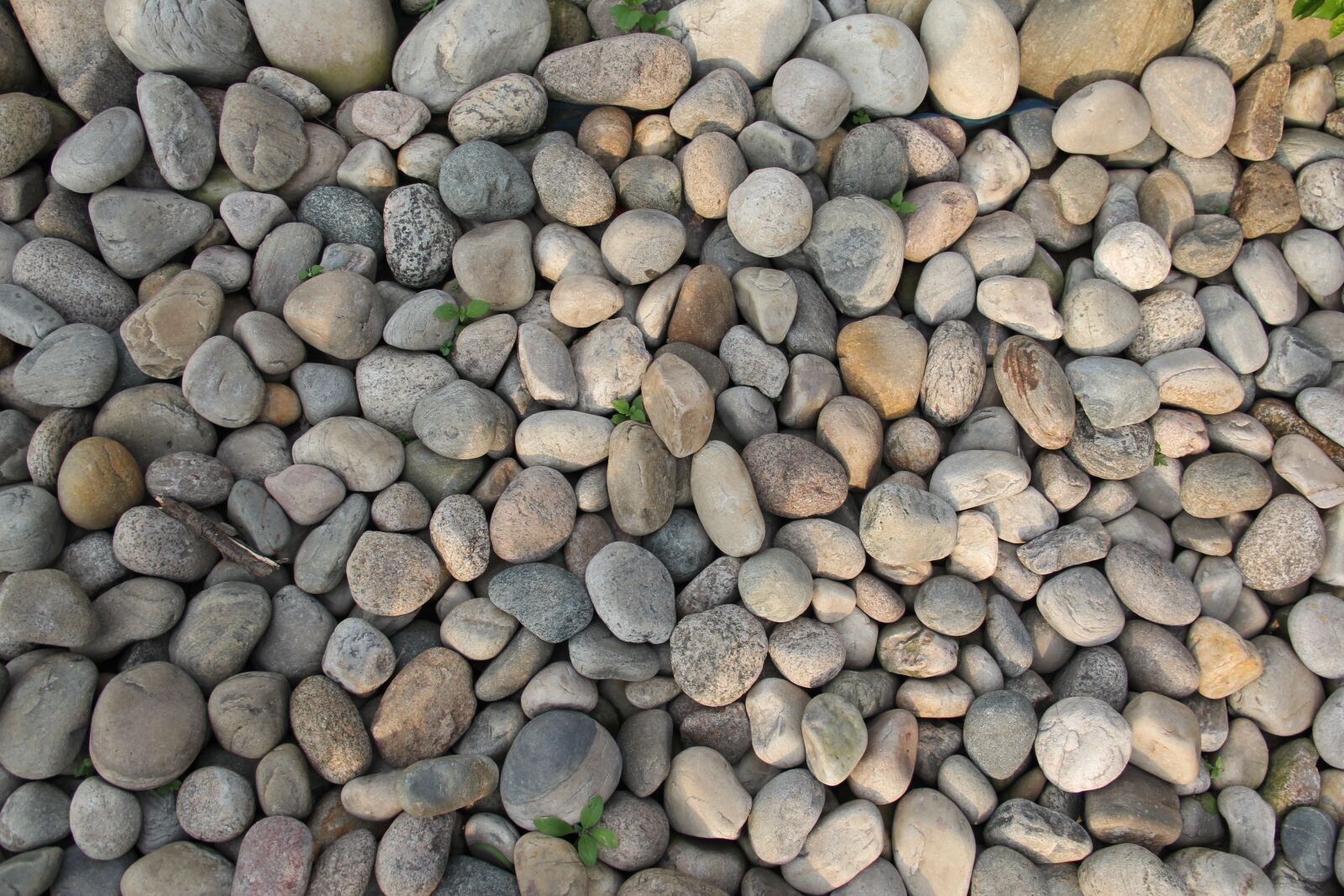 Canon EOS 60D sample photo. Stone, texture, pattern photography