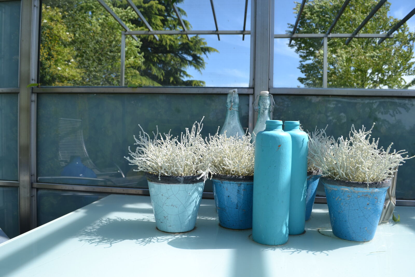 Nikon D3100 sample photo. Blue, calm, garden, mevrouw photography