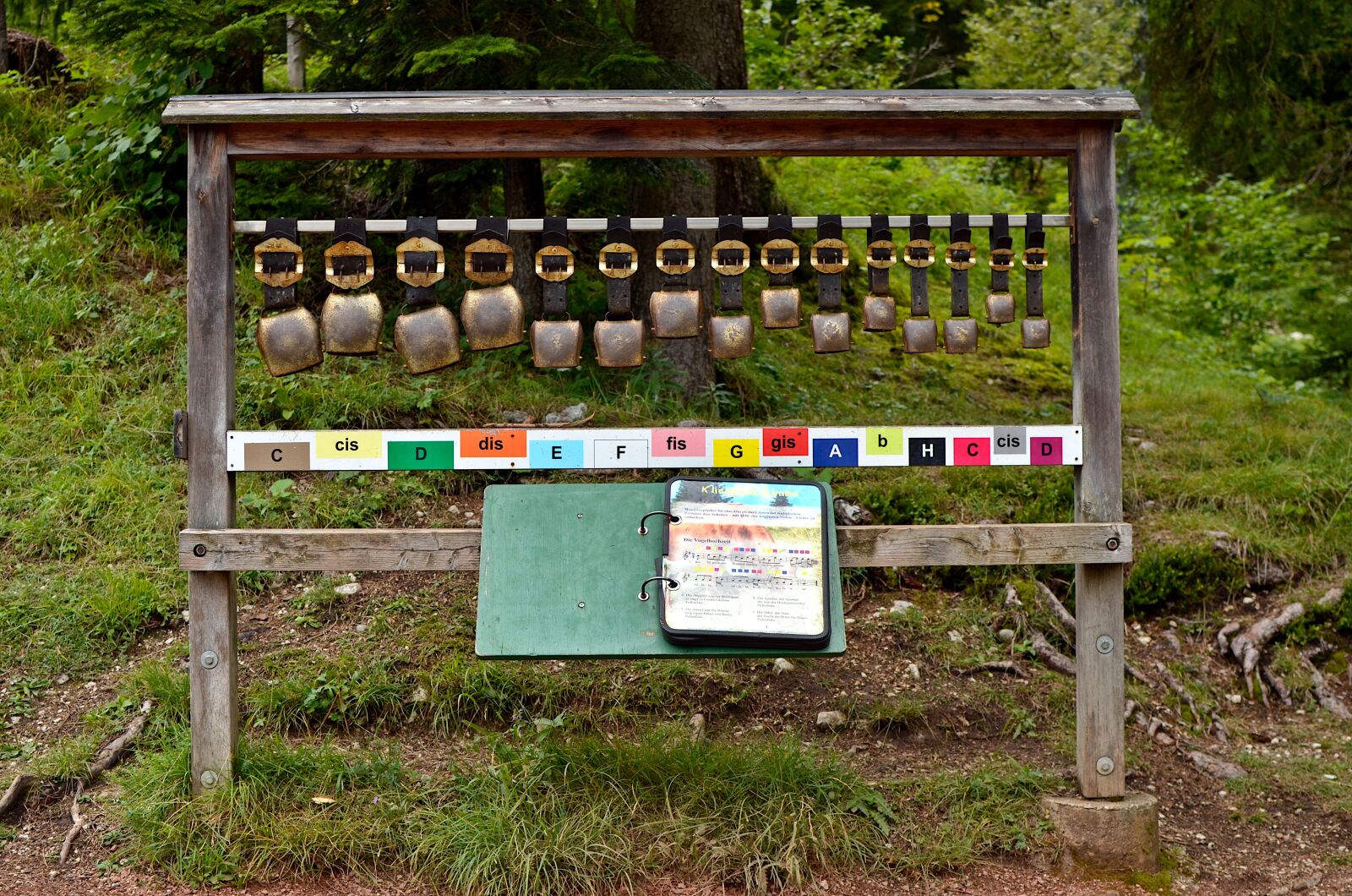 Nikon D7000 sample photo. Ringtones, the alps, instrument photography