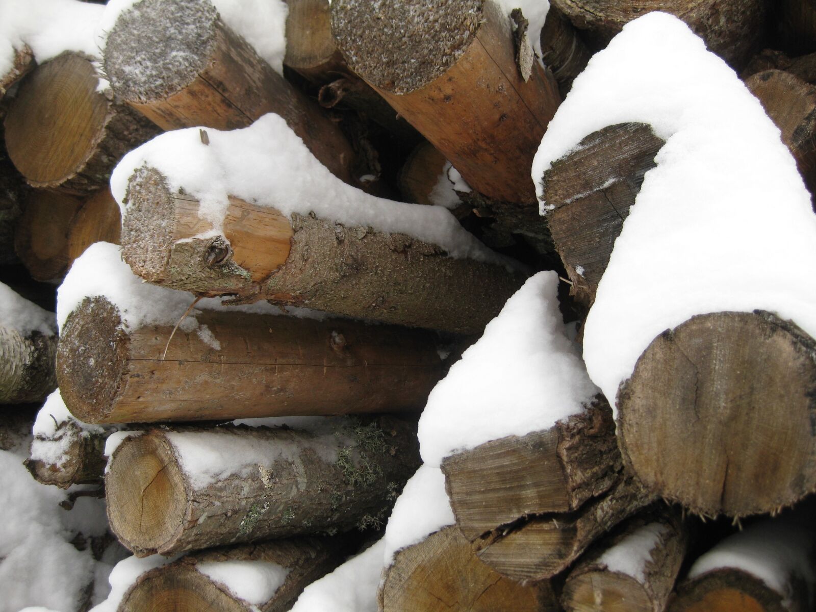 Canon PowerShot SD1100 IS (Digital IXUS 80 IS / IXY Digital 20 IS) sample photo. Wood, logs, close up photography